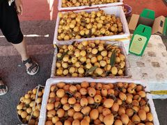 -塘栖枇杷特色园区