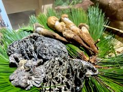 -昆虫窝子·特色云南菜(拓东路总店)