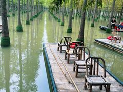 -泗洪洪泽湖湿地景区