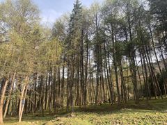 -硗碛藏寨·神木垒景区