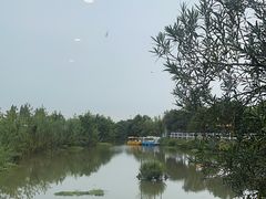-金稼园·金平湖农家菜