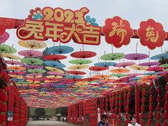 -都江堰玫瑰花溪谷