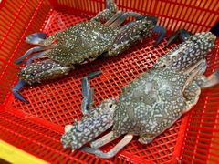兰花蟹-班赞海鲜市场