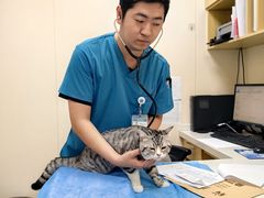 -美联众合爱康动物医院•复杂内科•肿瘤科•牙科•腔镜诊疗中心