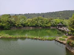 -九龙潭景区