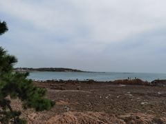 -八大关景区