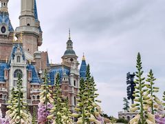 -上海迪士尼度假区