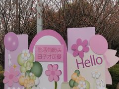 -高东镇樱花园