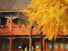 -北京石刻艺术博物馆(五塔寺)