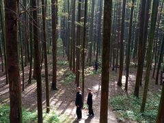 -山王坪喀斯特国家生态公园