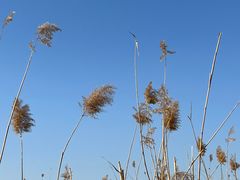 -马家湾湿地公园