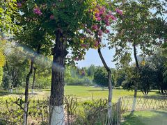 -重庆中央公园(渝北区)