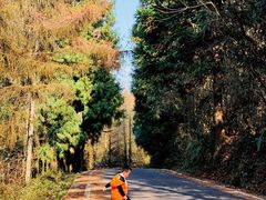 -山王坪喀斯特国家生态公园