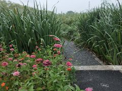 -永定河休闲森林公园