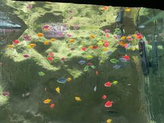 -苏州海洋馆