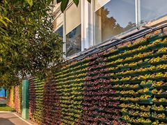 -西北湖绿化广场