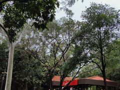 -广州市白云山风景名胜区