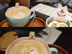 -逗柴咖啡屋·狗咖猫咖宠物桌游