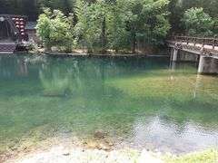 -石台牯牛降景区
