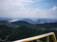 -大金鹰园