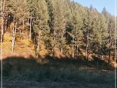 -塞罕坝国家级自然保护区