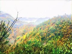-光雾山旅游景区