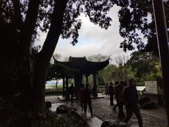 -西湖外事游船(花港观鱼码头)