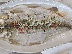 -蟹天蟹地农家菜·阳澄湖大闸蟹(浅水湾店)