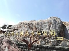 -北京西山国家森林公园