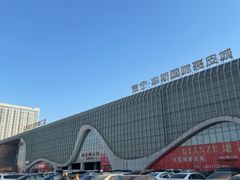 -肃宁华斯国际裘皮城