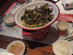 -辣可可·小炒黄牛肉(望京凯德MALL店)