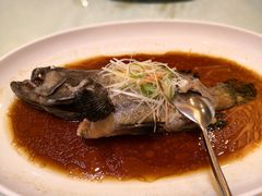 -顺峰(南二环店)