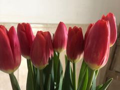 -循礼门鲜花花市(武汉循礼门店)