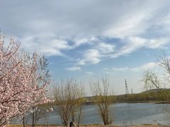 -永定河休闲森林公园