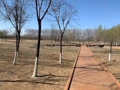 -东郊湿地公园