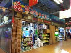 -大自然花鸟鱼虫市场