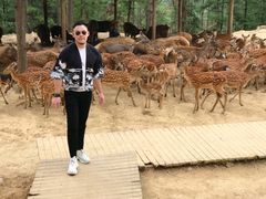 -西安秦岭野生动物园