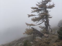 -芦芽山旅游度假区