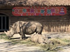 -济南野生动物世界