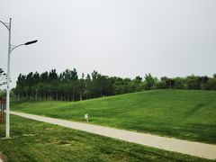 -瀛海足球主题公园