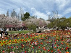 -苏州上方山国家森林公园