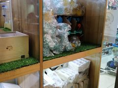 -宠物兔专门店(天丰利市场店)