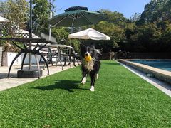 -汪说喵讲宠物乐园宠物酒店(红星美凯龙店)