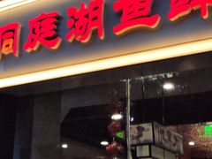 -洞庭家宴·头牌甲鱼(广渠门店)