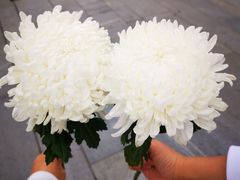 -侵华日军南京大屠杀遇难同胞纪念馆