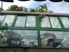 -EATALIA意塔利意式餐厅(鼓楼店)