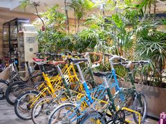 -大视光学•LINDBERG林德伯格•全球手工眼镜集合店(王府井店)