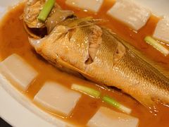 -子福慧(虹桥店)