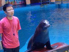 -烟台海昌鲸鲨海洋公园