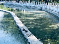 -莲花池公园